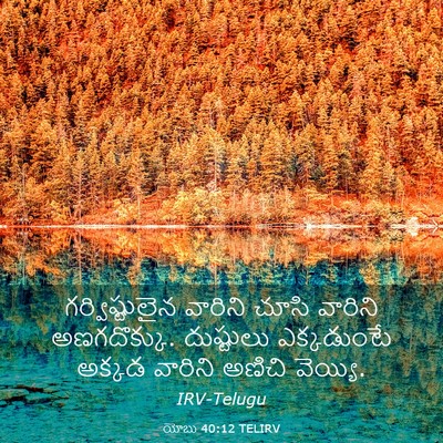 Picture 03 - యోబు 40:12 TELIRV - గర్విష్టులైన - Bible Verse Picture