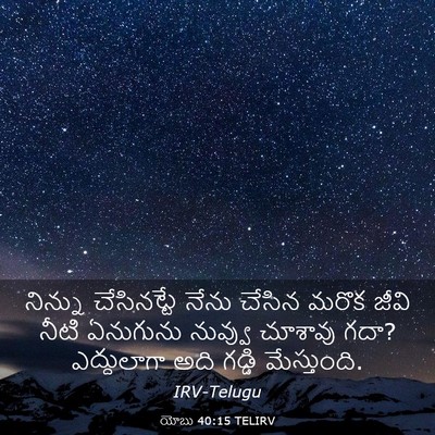 Picture 03 - యోబు 40:15 TELIRV - నిన్ను చేసినట్టే - Bible Verse Picture