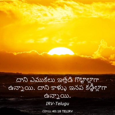 Picture 03 - యోబు 40:18 TELIRV - దాని ఎముకలు - Bible Verse Picture