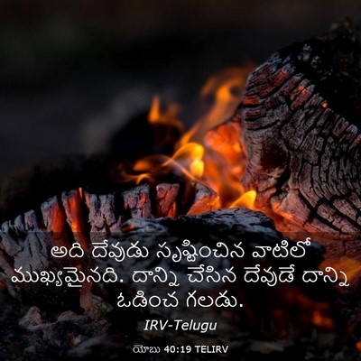 Picture 03 - యోబు 40:19 TELIRV - అది దేవుడు - Bible Verse Picture