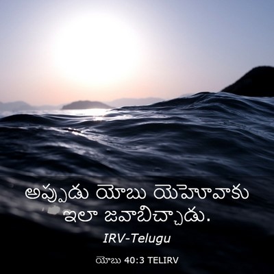 Picture 03 - యోబు 40:3 TELIRV - అప్పుడు యోబు - Bible Verse Picture