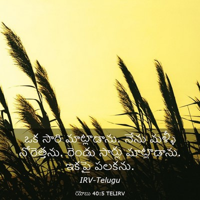 Picture 03 - యోబు 40:5 TELIRV - ఒక సారి - Bible Verse Picture