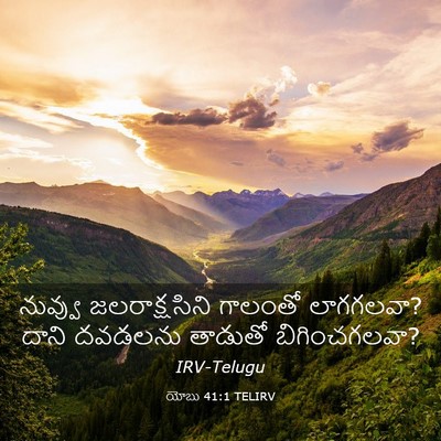 Picture 03 - యోబు 41:1 TELIRV - నువ్వు - Bible Verse Picture