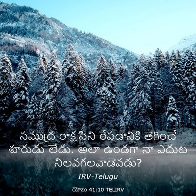 Picture 03 - యోబు 41:10 TELIRV - సముద్ర రాక్షసిని - Bible Verse Picture