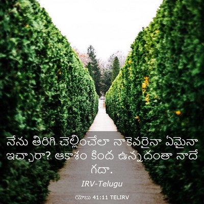 Picture 03 - యోబు 41:11 TELIRV - నేను తిరిగి - Bible Verse Picture
