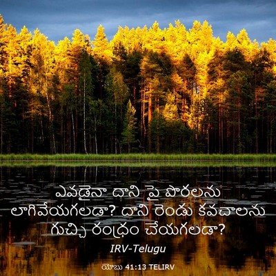 Picture 03 - యోబు 41:13 TELIRV - ఎవడైనా దాని పై - Bible Verse Picture
