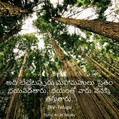 Picture 03 - యోబు 41:25 TELIRV - అది లేచేటప్పుడు - Bible Verse Picture