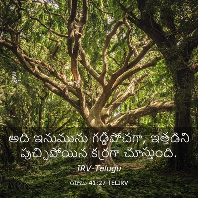 Picture 03 - యోబు 41:27 TELIRV - అది ఇనుమును - Bible Verse Picture