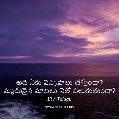 Picture 03 - యోబు 41:3 TELIRV - అది నీకు - Bible Verse Picture