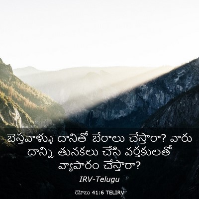 Picture 03 - యోబు 41:6 TELIRV - బెస్తవాళ్ళు - Bible Verse Picture