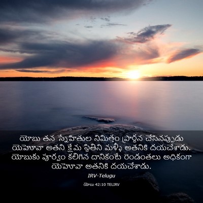 Picture 03 - యోబు 42:10 TELIRV - యోబు తన స్నేహితుల - Bible Verse Picture