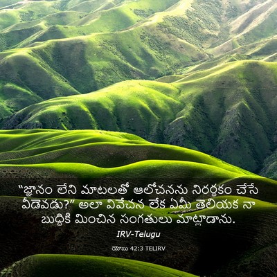 Picture 03 - యోబు 42:3 TELIRV - “జ్ఞానం లేని - Bible Verse Picture