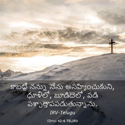 Picture 03 - యోబు 42:6 TELIRV - కాబట్టి నన్ను - Bible Verse Picture