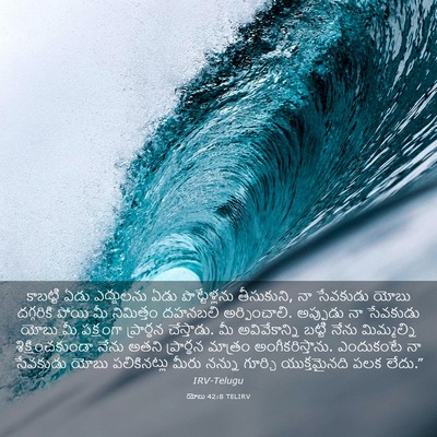 Picture 03 - యోబు 42:8 TELIRV - కాబట్టి ఏడు - Bible Verse Picture
