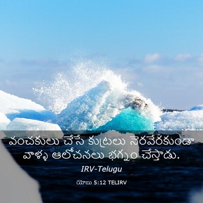 Picture 03 - యోబు 5:12 TELIRV - వంచకులు చేసే - Bible Verse Picture