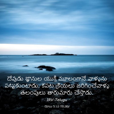 Picture 03 - యోబు 5:13 TELIRV - దేవుడు జ్ఞానుల - Bible Verse Picture