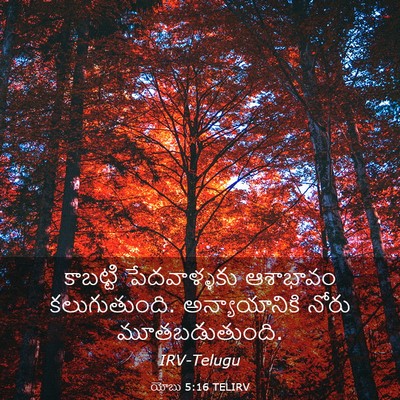 Picture 03 - యోబు 5:16 TELIRV - కాబట్టి - Bible Verse Picture