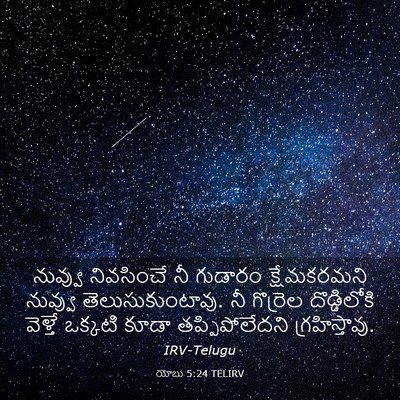 Picture 03 - యోబు 5:24 TELIRV - నువ్వు నివసించే - Bible Verse Picture