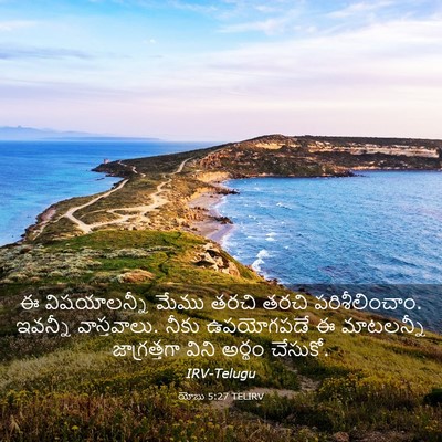 Picture 03 - యోబు 5:27 TELIRV - ఈ విషయాలన్నీ మేము - Bible Verse Picture