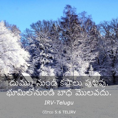 Picture 03 - యోబు 5:6 TELIRV - దుమ్ము నుండి - Bible Verse Picture