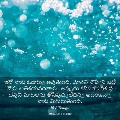 Picture 03 - యోబు 6:10 TELIRV - ఇదే నాకు ఓదార్పు - Bible Verse Picture