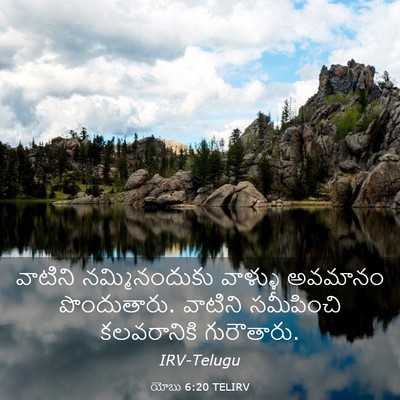 Picture 03 - యోబు 6:20 TELIRV - వాటిని - Bible Verse Picture