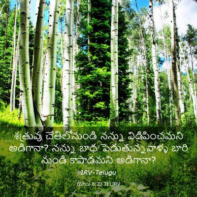 Picture 03 - యోబు 6:23 TELIRV - శత్రువు - Bible Verse Picture