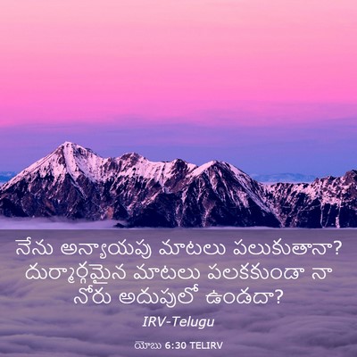 Picture 03 - యోబు 6:30 TELIRV - నేను అన్యాయపు - Bible Verse Picture
