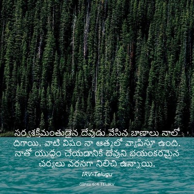 Picture 03 - యోబు 6:4 TELIRV - సర్వశక్తిమంతుడైన - Bible Verse Picture