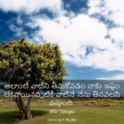 Picture 03 - యోబు 6:7 TELIRV - అలాంటి వాటిని - Bible Verse Picture