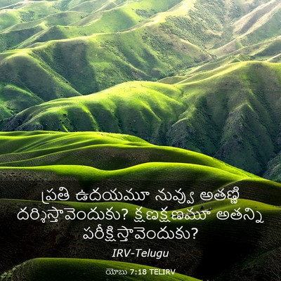 Picture 03 - యోబు 7:18 TELIRV - ప్రతి ఉదయమూ - Bible Verse Picture