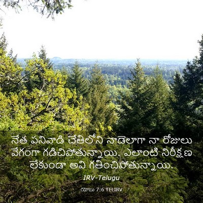 Picture 03 - యోబు 7:6 TELIRV - నేత పనివాడి - Bible Verse Picture