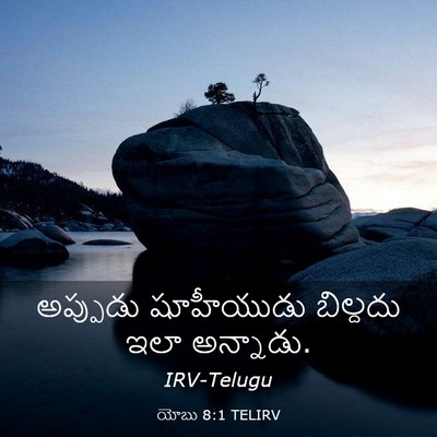 Picture 03 - యోబు 8:1 TELIRV - అప్పుడు షూహీయుడు - Bible Verse Picture