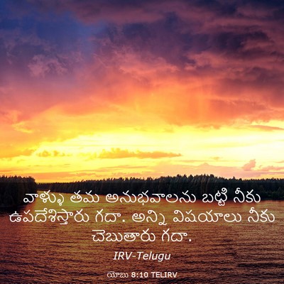Picture 03 - యోబు 8:10 TELIRV - వాళ్ళు తమ - Bible Verse Picture