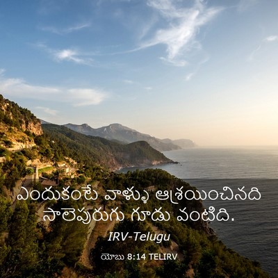 Picture 03 - యోబు 8:14 TELIRV - ఎందుకంటే వాళ్ళు - Bible Verse Picture