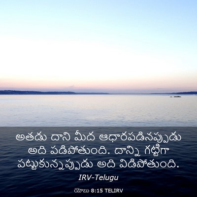 Picture 03 - యోబు 8:15 TELIRV - అతడు దాని మీద - Bible Verse Picture