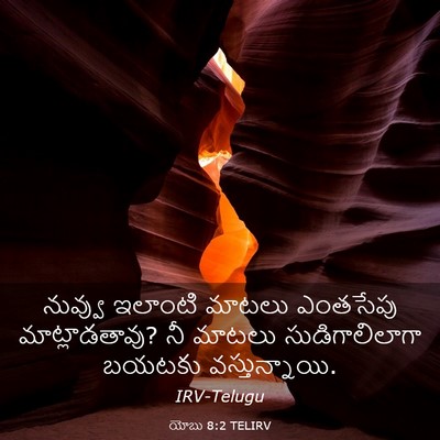 Picture 03 - యోబు 8:2 TELIRV - నువ్వు ఇలాంటి - Bible Verse Picture