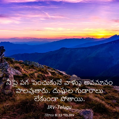 Picture 03 - యోబు 8:22 TELIRV - నీపై పగ పెంచుకునే - Bible Verse Picture