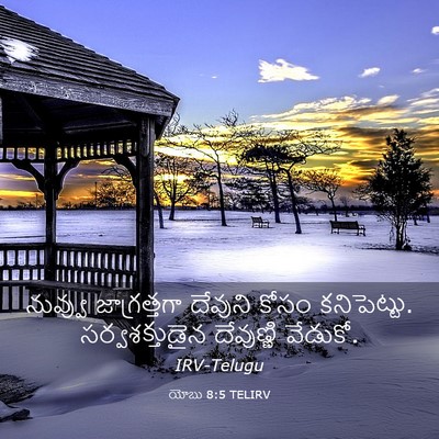 Picture 03 - యోబు 8:5 TELIRV - నువ్వు జాగ్రత్తగా - Bible Verse Picture