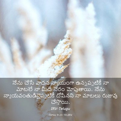 Picture 03 - యోబు 9:20 TELIRV - నేను చేసే వాదన - Bible Verse Picture