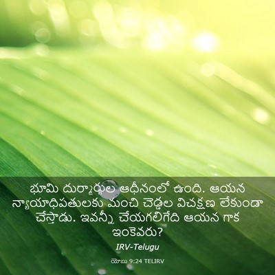 Picture 03 - యోబు 9:24 TELIRV - భూమి దుర్మార్గుల - Bible Verse Picture