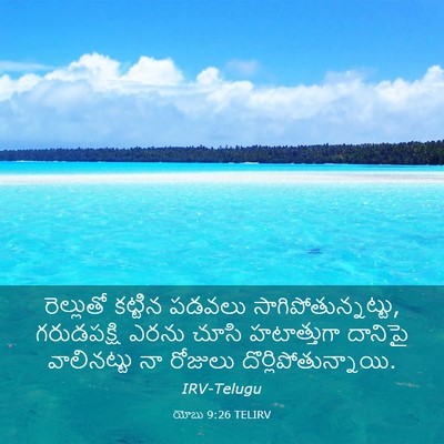 Picture 03 - యోబు 9:26 TELIRV - రెల్లుతో కట్టిన - Bible Verse Picture