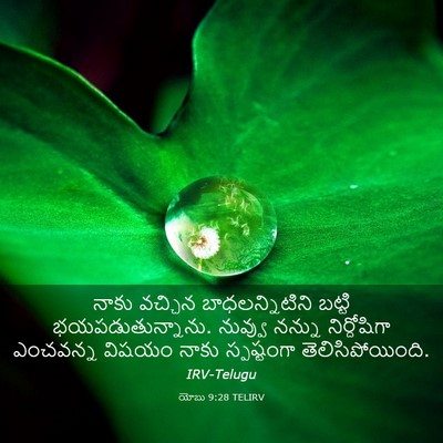 Picture 03 - యోబు 9:28 TELIRV - నాకు వచ్చిన - Bible Verse Picture