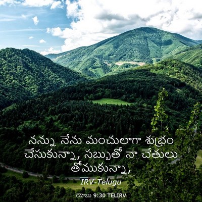 Picture 03 - యోబు 9:30 TELIRV - నన్ను నేను - Bible Verse Picture