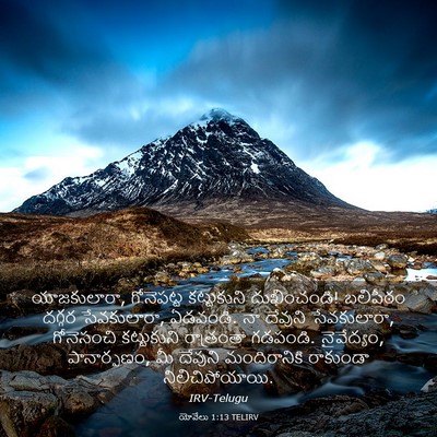 Picture 03 - యోవేలు 1:13 TELIRV - యాజకులారా, - Bible Verse Picture