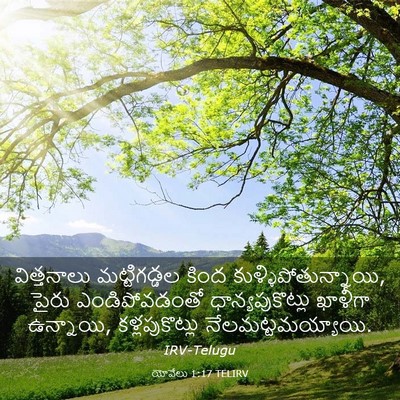 Picture 03 - యోవేలు 1:17 TELIRV - విత్తనాలు - Bible Verse Picture