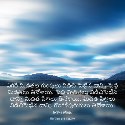 Picture 03 - యోవేలు 1:4 TELIRV - ఎగిరే మిడతల - Bible Verse Picture