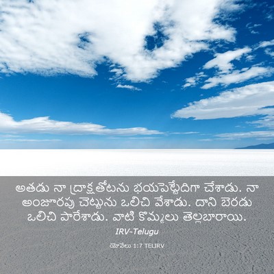Picture 03 - యోవేలు 1:7 TELIRV - అతడు నా - Bible Verse Picture