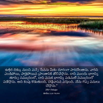 Picture 03 - యోవేలు 2:20 TELIRV - ఉత్తర దిక్కు - Bible Verse Picture
