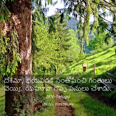 Picture 03 - యోవేలు 2:21 TELIRV - దేశమా, భయపడక - Bible Verse Picture